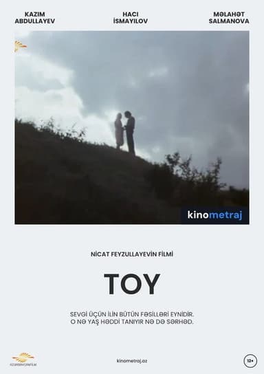 Toy